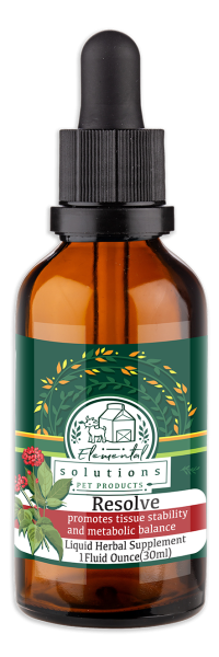 Resolve Mockup WebSized