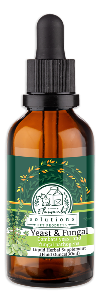 Yeast Mockup Websized